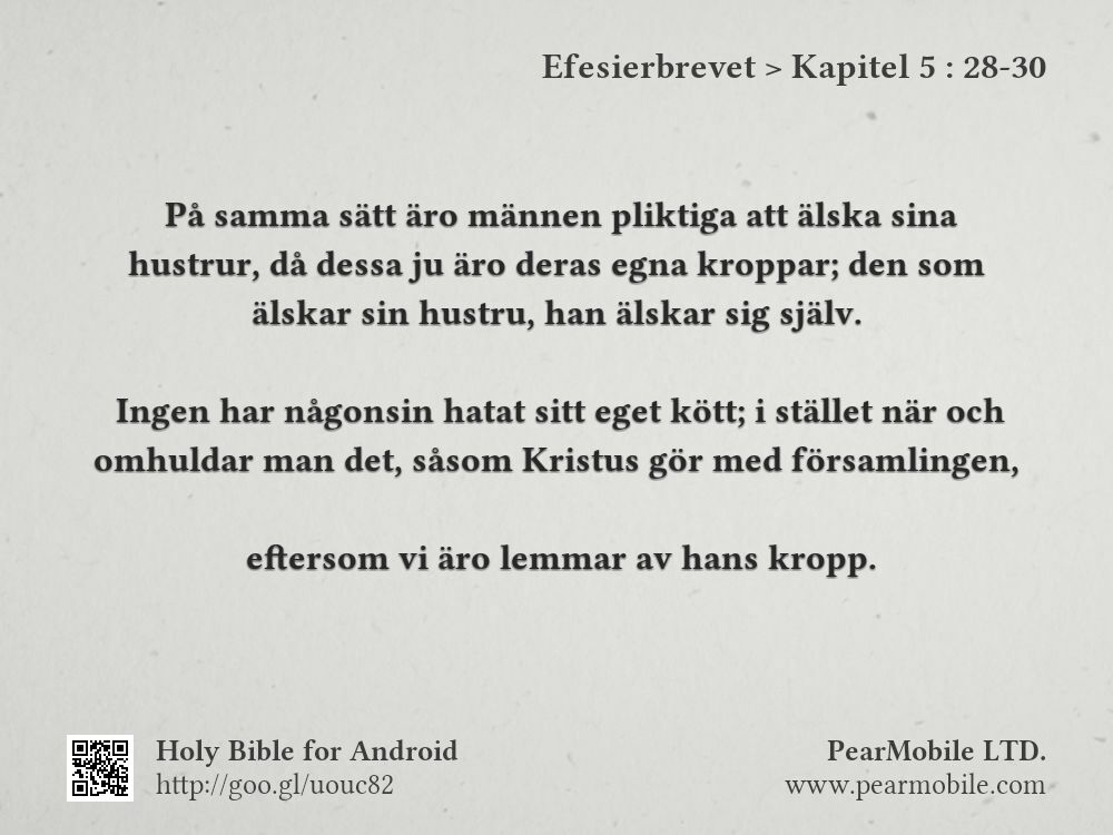 Efesierbrevet, Kapitel 5:28-30